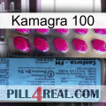 Kamagra 100 35